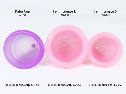 Менструальная чаша Femintimate Eve Cup размер L с переносным душем, Розовый