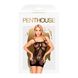 Картинка фото Міні-сукня сітка Penthouse - Above&Beyond Black XL інтим магазин Ейфорія