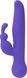 Картинка фото Вібратор-кролик з сенсорним управлінням і ротацією Touch by SWAN - Duo Purple, глибока вібрація інтим магазин Ейфорія