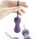Картинка фото Набір вагінальних кульок Je Joue - Ami Purple, діаметр 3,8-3,3-2,7см, вага 54-71-100гр інтим магазин Ейфорія