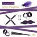 Картинка фото Подарунковий набір для BDSM RIANNE S — Kinky Me Softly Purple: 8 предметів для задоволення інтим магазин Ейфорія
