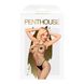 Картинка Бодистокинг в крупную сетку Penthouse - Body Search Black XL интим магазин Эйфория