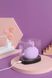Картинка фото Вакуумний стимулятор з вібрацією KISTOY Miss KK Purple інтим магазин Ейфорія