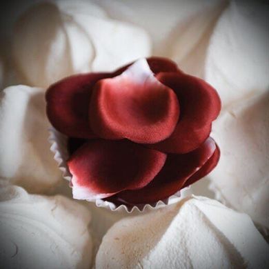 Пелюстки троянд ароматизовані ROSE PETAL EXPLOSION від Bijoux Indiscrets (Іспанія) - 100 шт.
