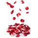 Картинка фото Пелюстки троянд ароматизовані ROSE PETAL EXPLOSION від Bijoux Indiscrets (Іспанія) - 100 шт. інтим магазин Ейфорія