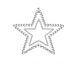 Картинка фото Прикраси для грудей зі стразами Mi Mi Зірка сріблястий інтим магазин Ейфорія