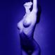 Картинка Украшения для груди и бикини FLAMBOYANT со стразами серебристо-чёрный интим магазин Эйфория