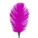 Картинка фото Лоскітка зі страусиним пером Art of Sex - Feather Tickler, колір Темно-рожевий інтим магазин Ейфорія