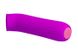 Вакуумный стимулятор клитора Pretty Love Ford Purple, BI-014547, Фиолетовый