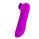 Вакуумный стимулятор клитора Pretty Love - Magic Flute, BI-014452, Фиолетовый