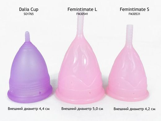 Менструальная чаша Femintimate Eve Cup размер S с переносным душем, Розовый